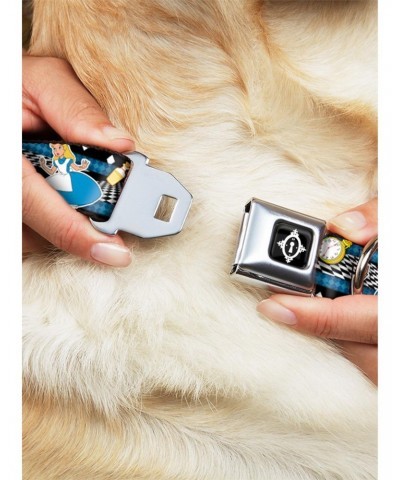 Disney Alice In Wonderland Clock Bottle Seatbelt Buckle Dog Collar $11.70 Pet Collars
